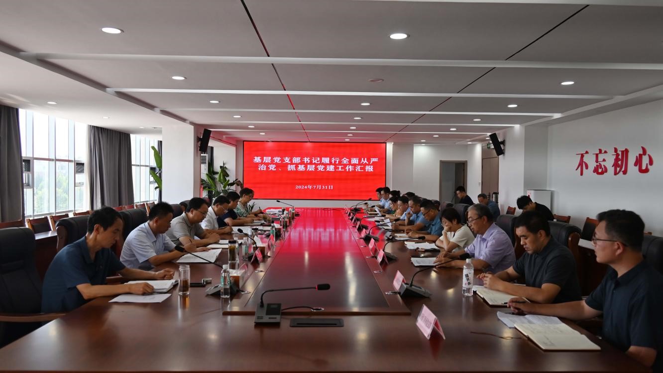 鲁南技师学院召开2024年上半年党支部书记履行全面从严治党和...