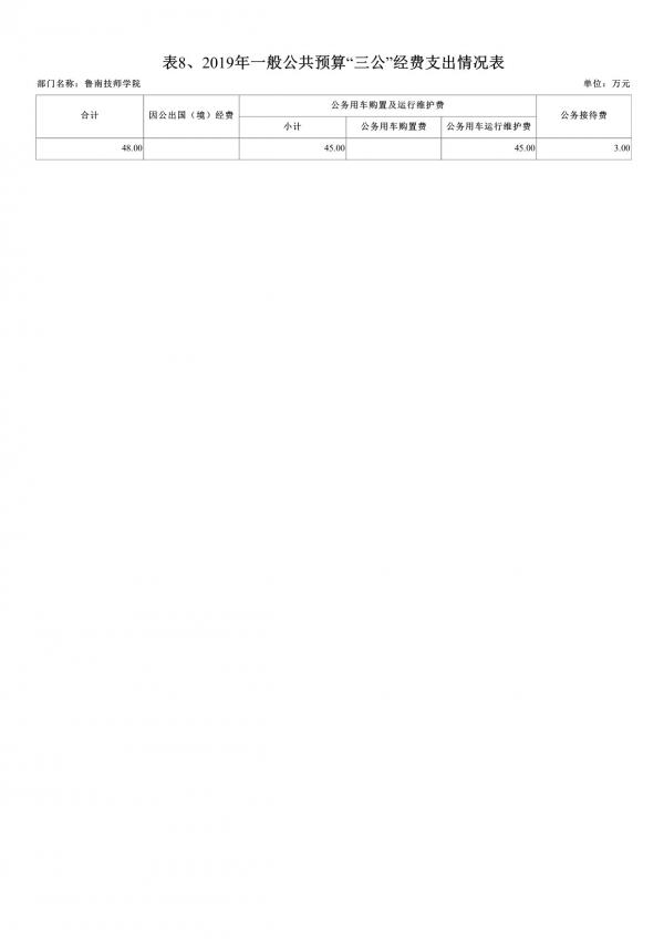 2019年鲁南技师学院部门预算-13.jpg