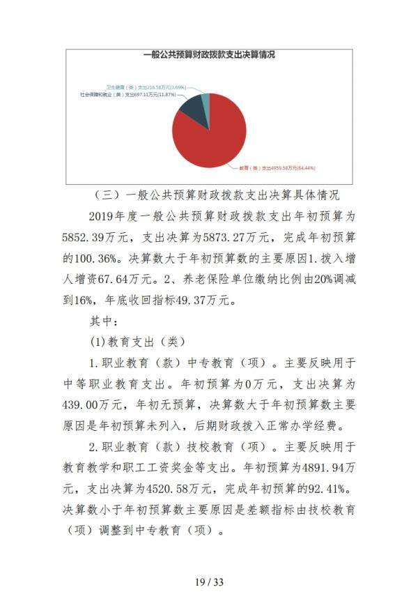 2019年度鲁南技师学院部门决算.pdf_page_19.jpg