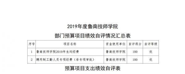 2019年度鲁南技师学院部门决算.pdf_page_34.jpg
